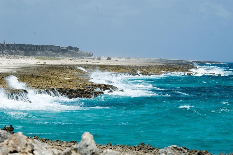 Woodz Bonaire Apartamento Kralendijk  Exterior foto